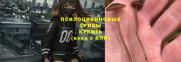 СК Нефтекумск