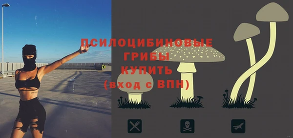 СК Нефтекумск