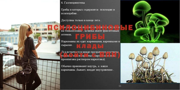 гидра Нефтегорск